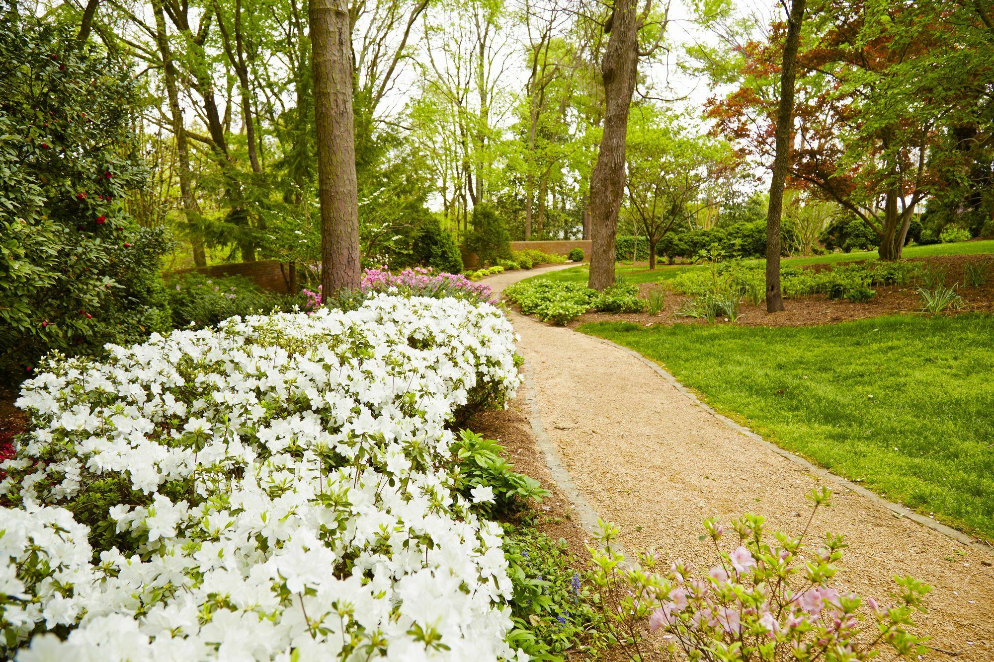 Rizzo Center, A Destination By Hyatt Hotel Chapel Hill Exterior foto